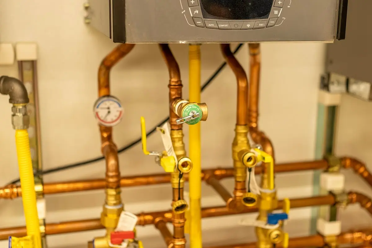 Licensed technician providing Emergency Plumbing for a homeowner in Blue Ridge